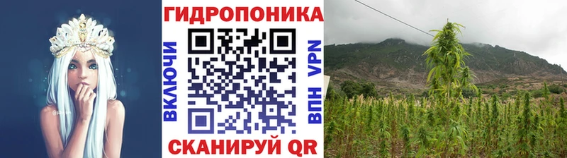 Шишки марихуана индика  Венёв 